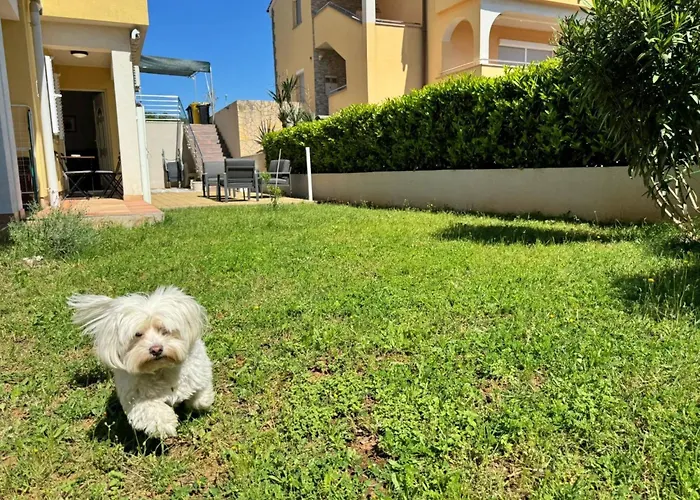 Pintadesol By Interhome Appartement Čižići