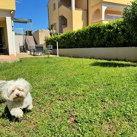 Pintadesol By Interhome Daire Čižići